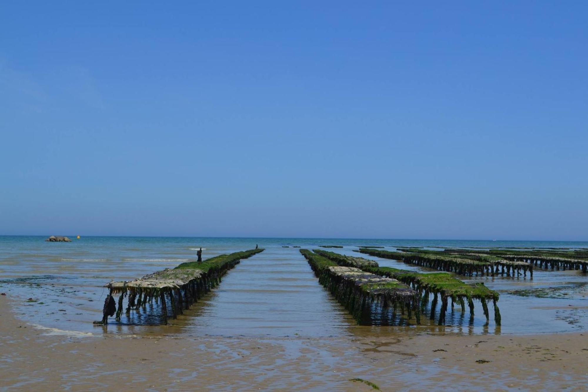 Maison Renovee En Pierres Sejour Spacieux Avec Jardin Et Terrasse Amenagee Pres Omaha Beach & Bayeux A 5Mn De La Mer Tous Commerces Commes Экстерьер фото